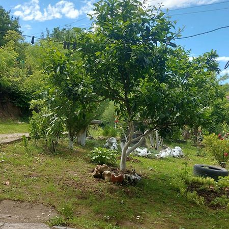 Mero House Kutaisi Dış mekan fotoğraf