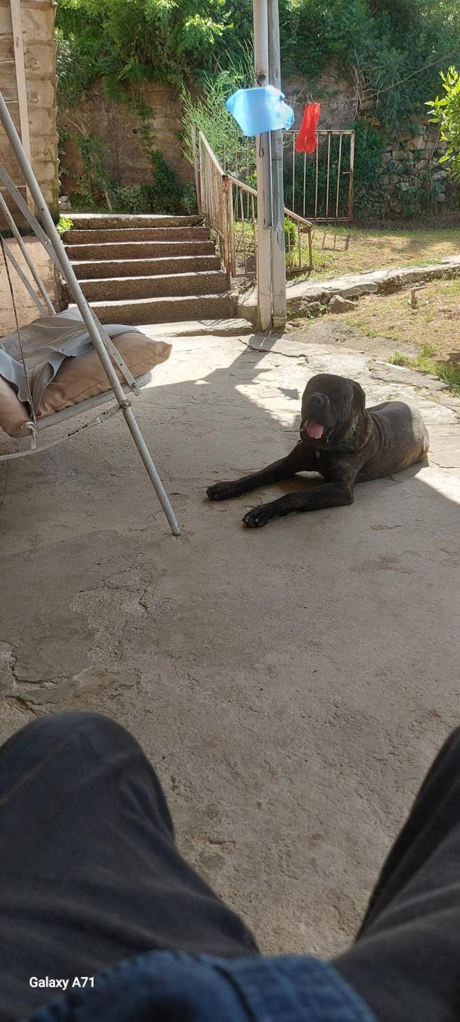 Mero House Kutaisi Dış mekan fotoğraf