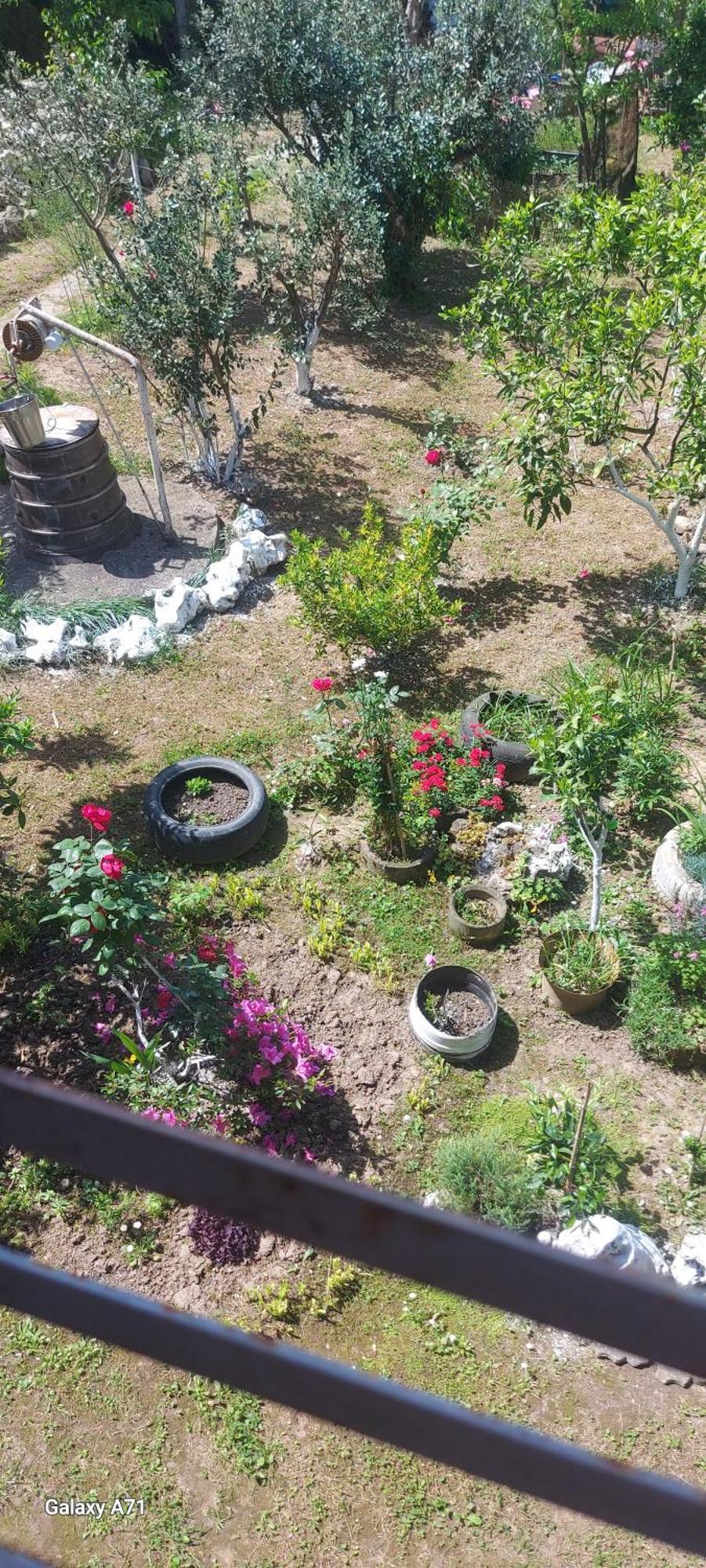 Mero House Kutaisi Dış mekan fotoğraf