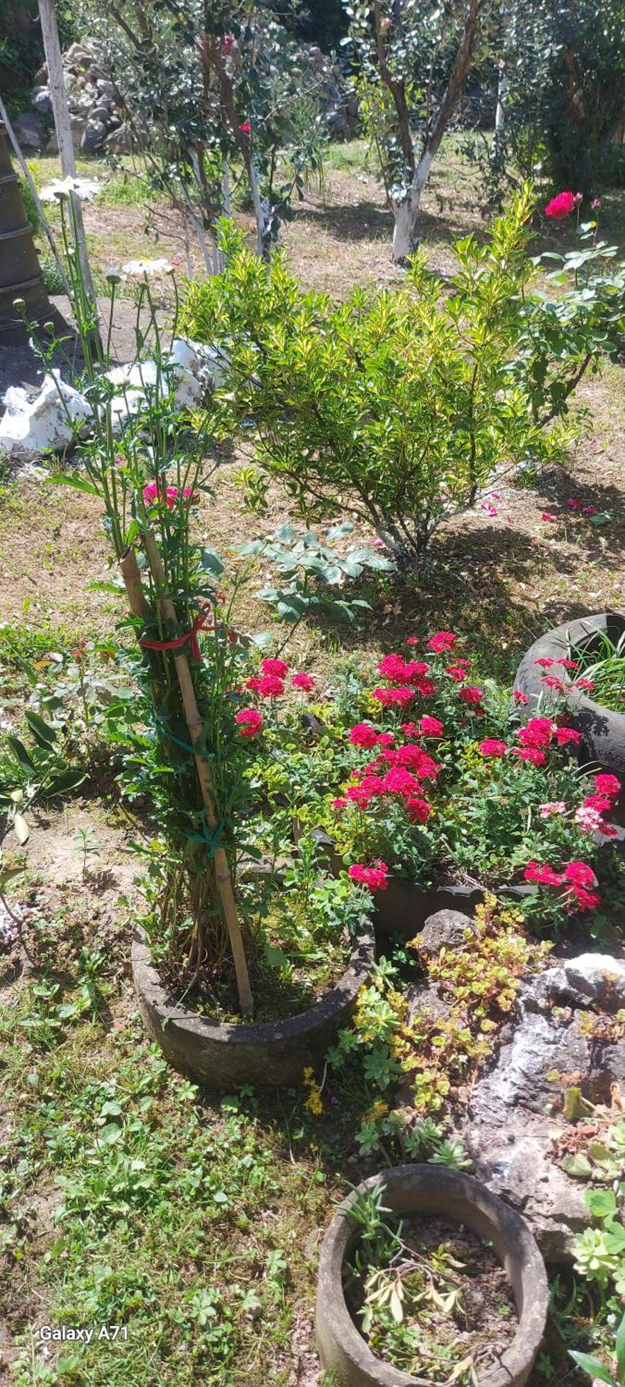 Mero House Kutaisi Dış mekan fotoğraf