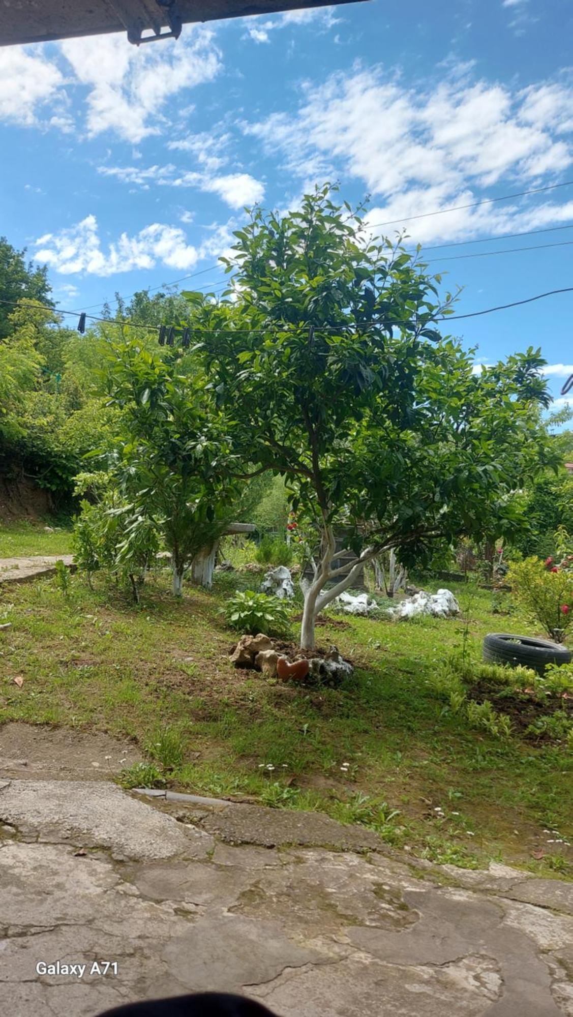 Mero House Kutaisi Dış mekan fotoğraf