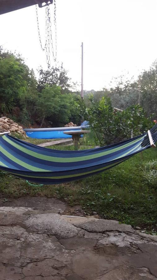 Mero House Kutaisi Dış mekan fotoğraf