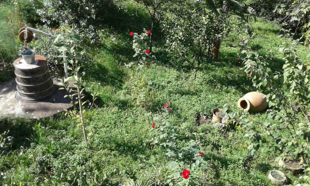 Mero House Kutaisi Dış mekan fotoğraf