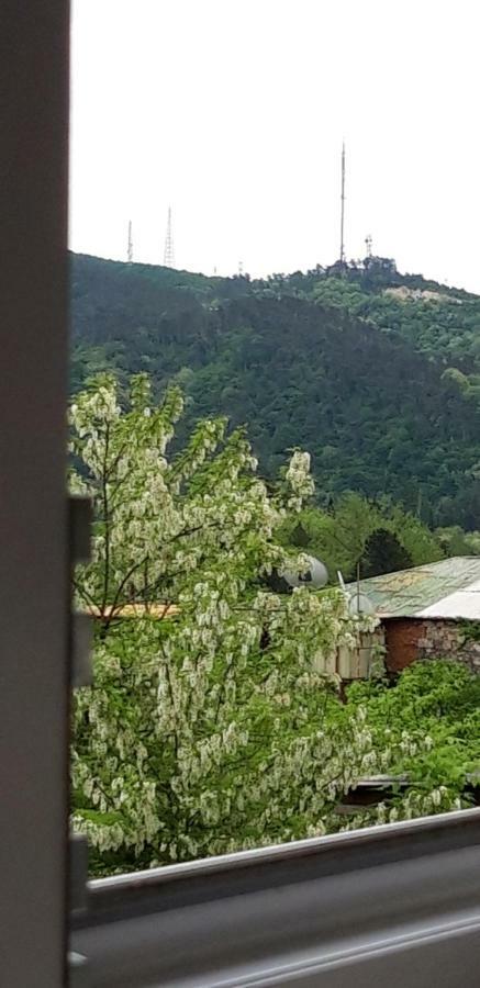 Mero House Kutaisi Dış mekan fotoğraf