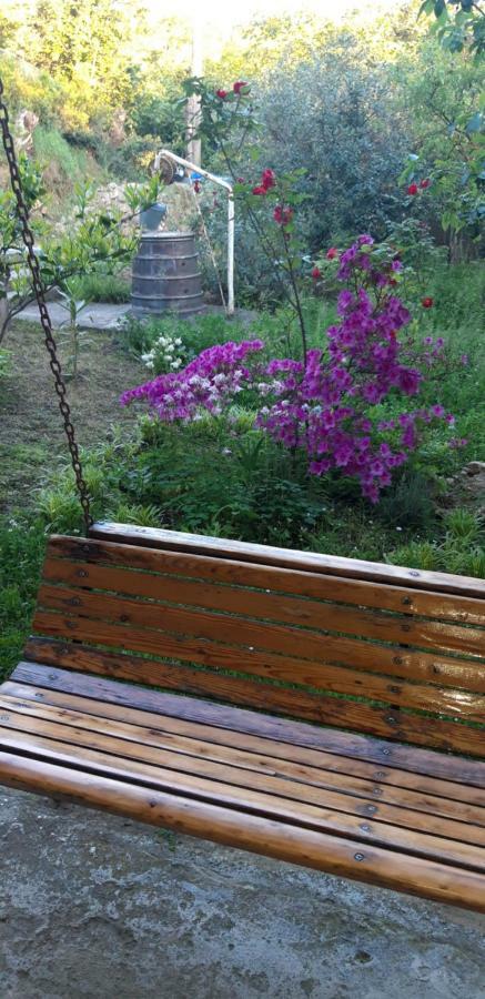 Mero House Kutaisi Dış mekan fotoğraf