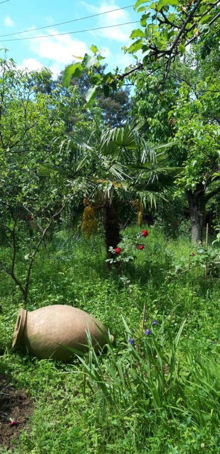 Mero House Kutaisi Dış mekan fotoğraf